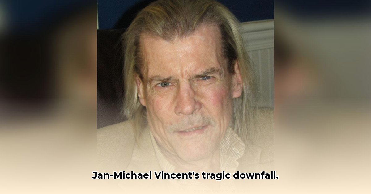 net-worth-jan-michael-vincent-eye
